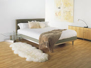 Sheepskin Rug - MEADOW GREEN